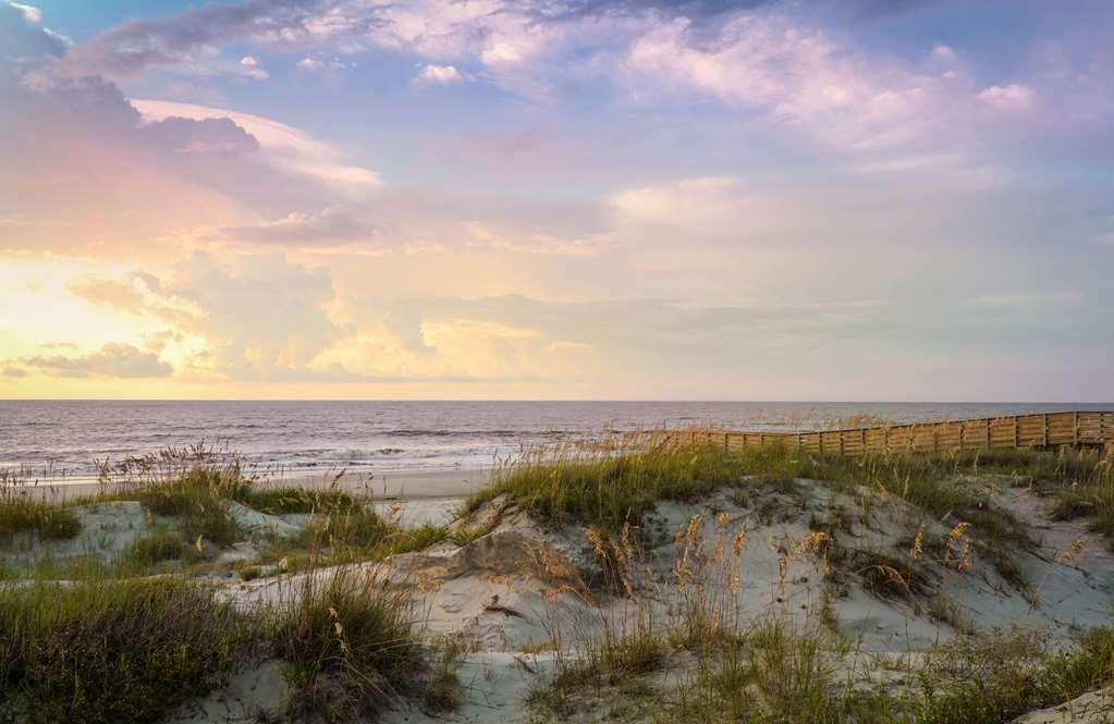 Jekyll Ocean Club Resort Jekyll Island Natureza foto