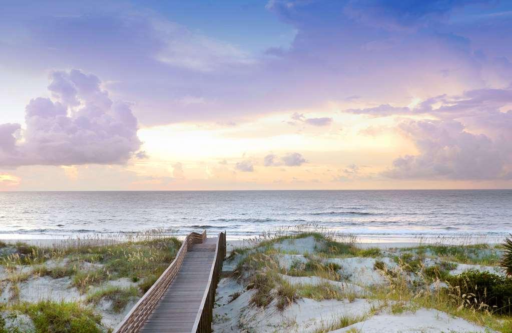 Jekyll Ocean Club Resort Jekyll Island Natureza foto
